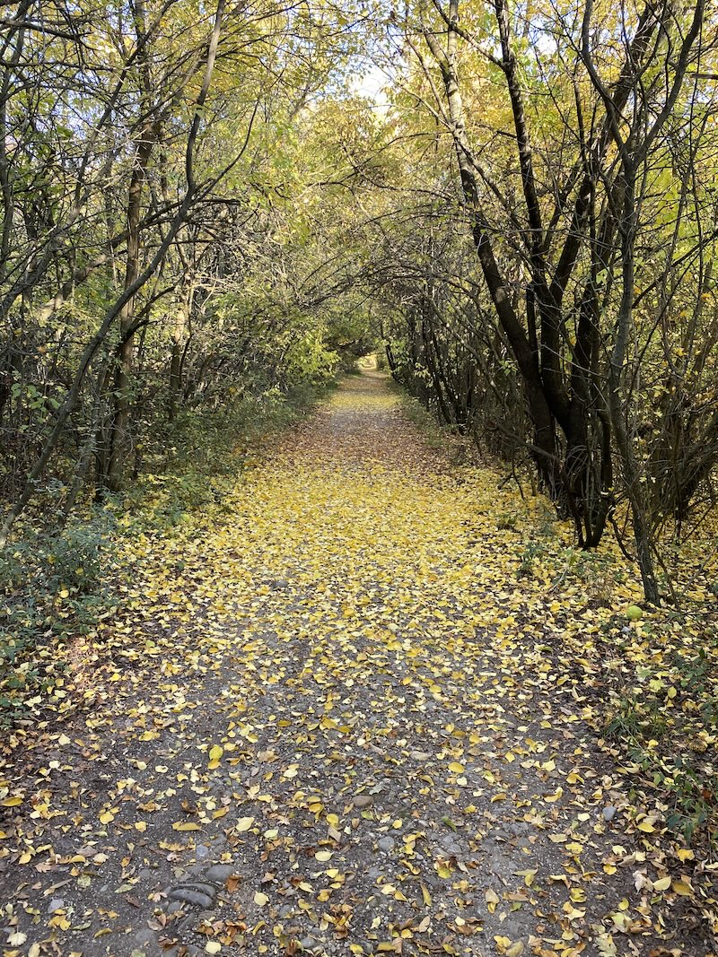 Era marinimos, prietenos si curajos la culme, dar principala sa insusire era&nbsp;simplitatea