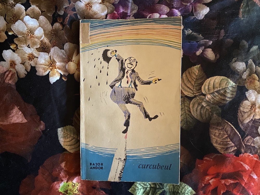 Sunt franar de cale&nbsp;ferata