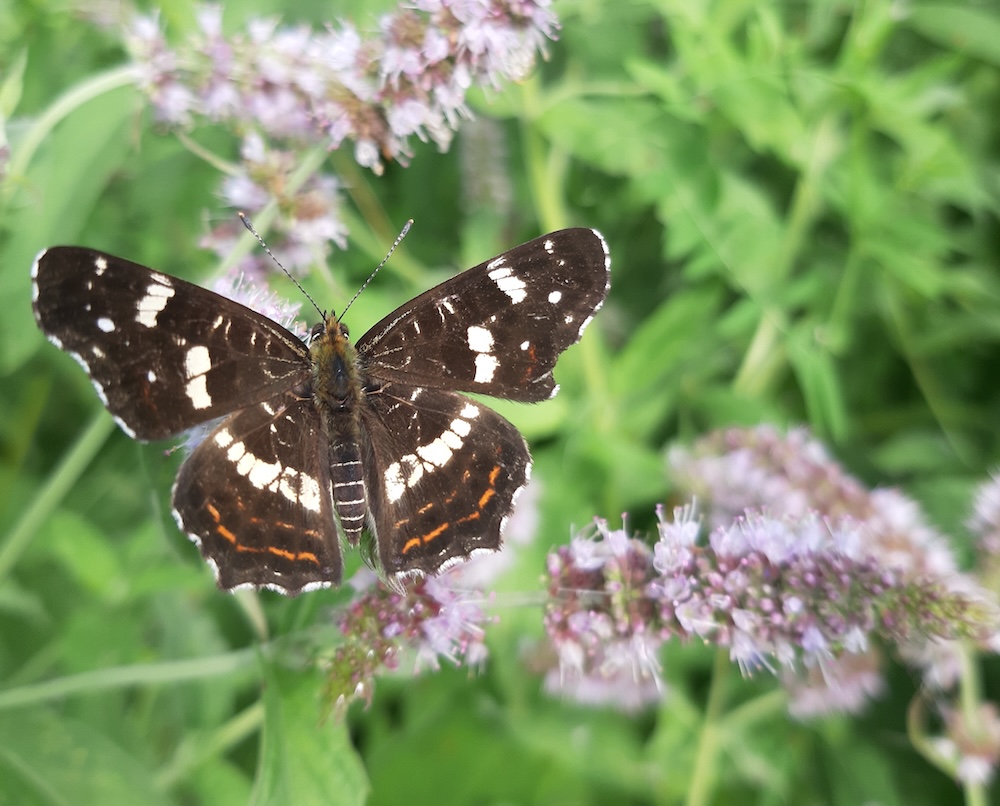 Sunt o ființă care nu depinde de un loc anume, nici de alte lucruri materiale pentru a&nbsp;exista