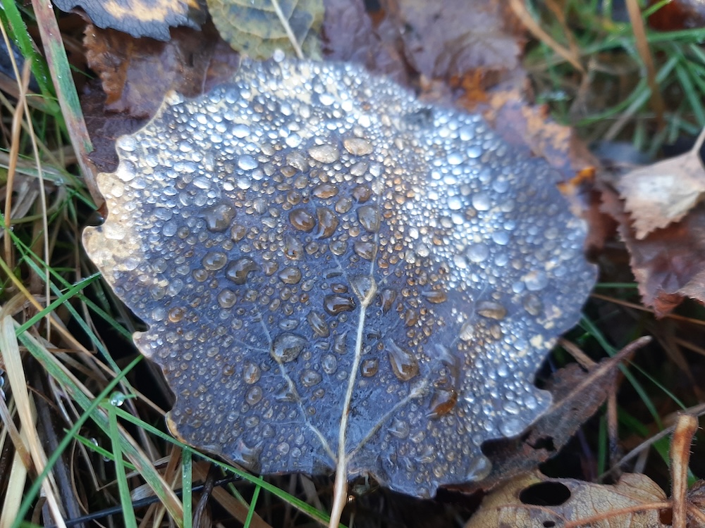 Nu va mai veni&nbsp;potopul