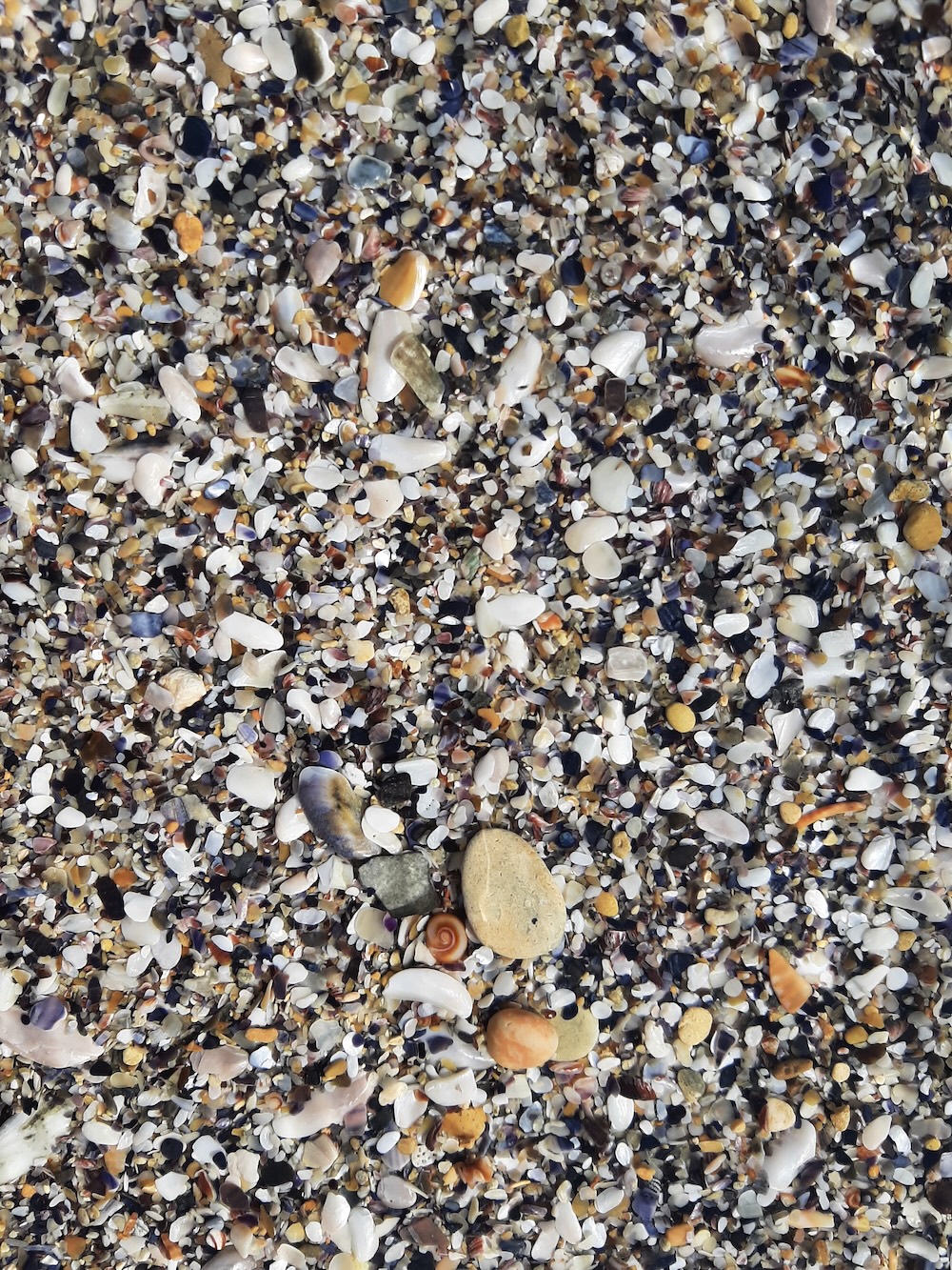 Sunt un singur popor și au aceeași limbă și iacă de ce s-au&nbsp;apucat