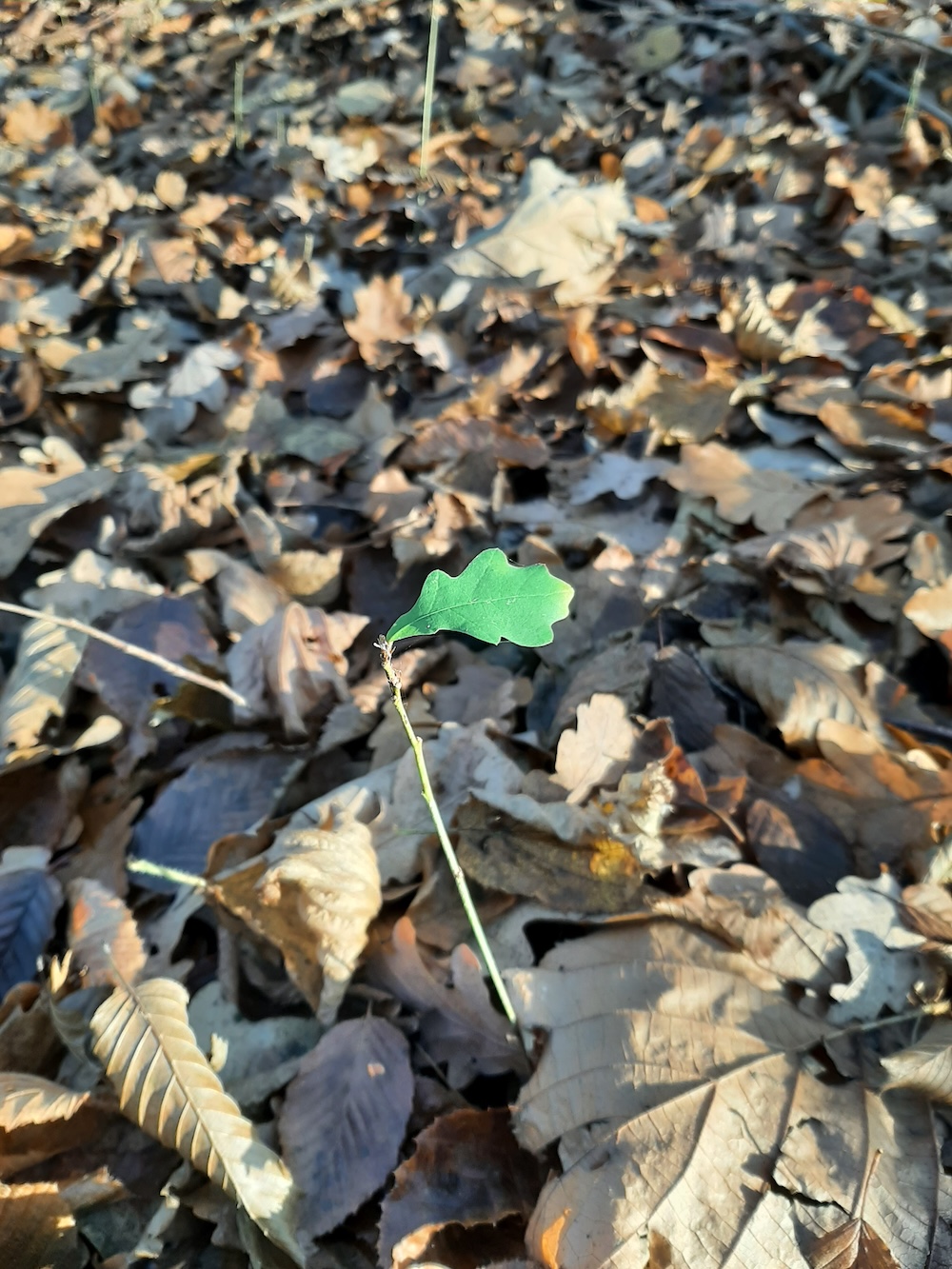 Lucruri care dau preț&nbsp;vieții