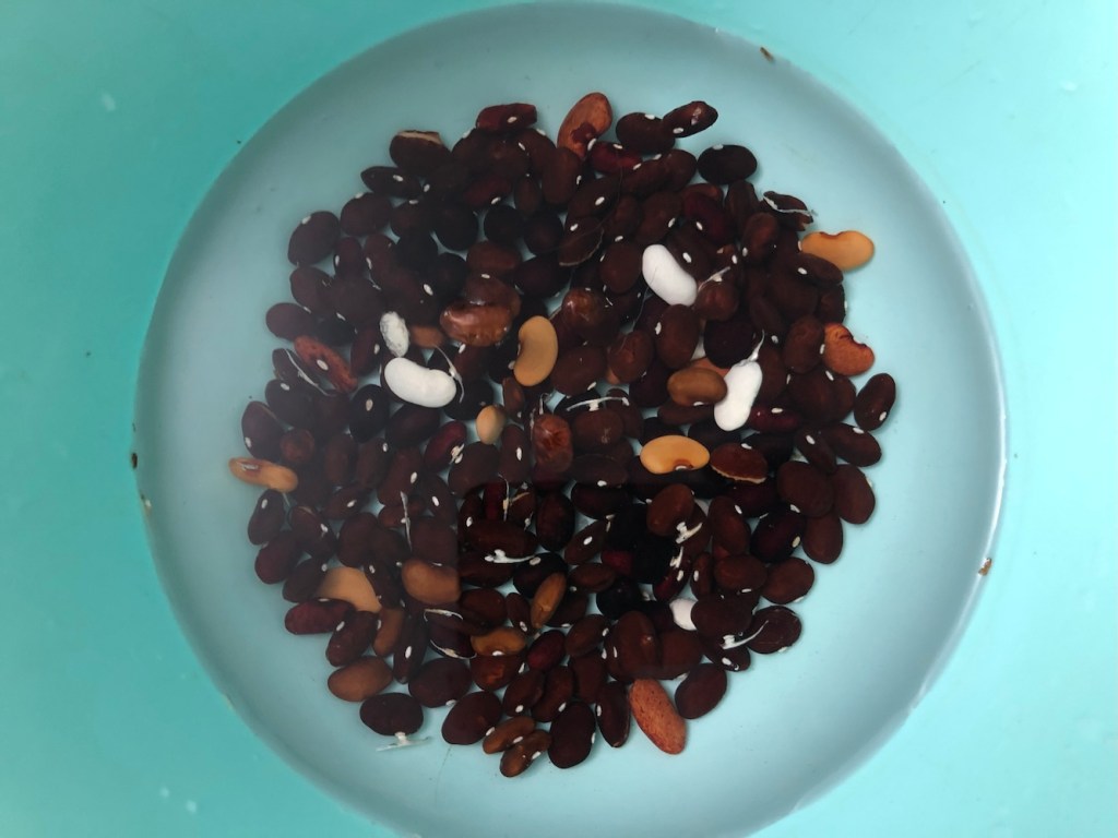 O femeie care se respectează nu trăiește cu nădejdi și cu zamă de&nbsp;fasole.