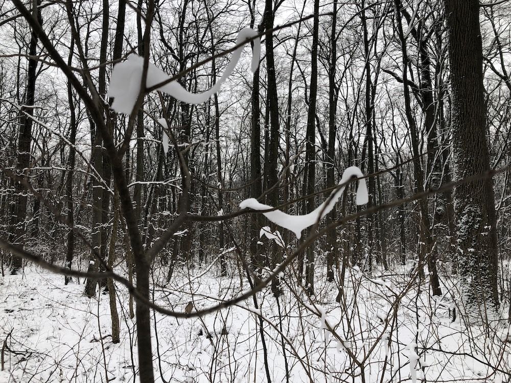 Domnul a dat poporului Său trecere înaintea&nbsp;Egiptenilor