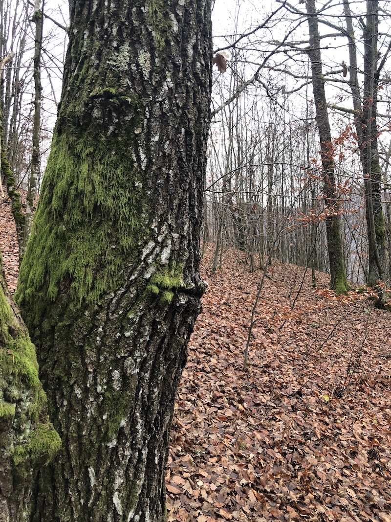 Om fără eresuri și fără prejudețe