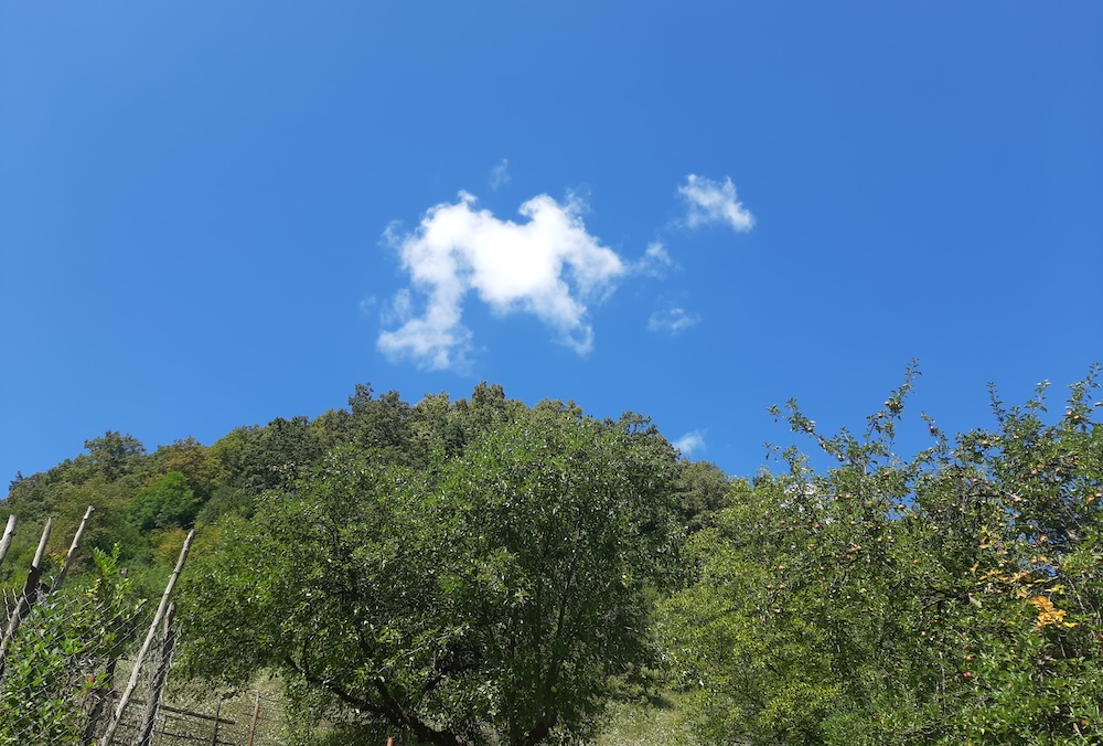 Exprimați-vă deschis aceeași opinie înainte ca ea să vă fi fost destăinuită de gazdă și mergeți și mai&nbsp;departe