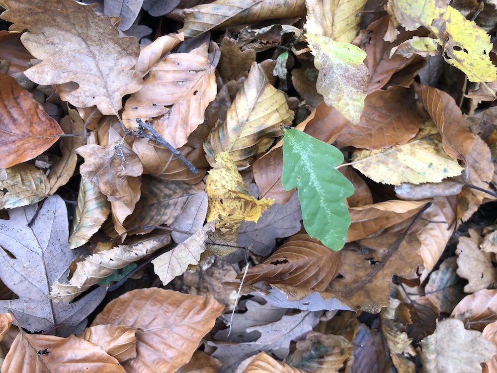 Dacă îmbrățișați numai pe frații voștri, ce faceți mai mult?