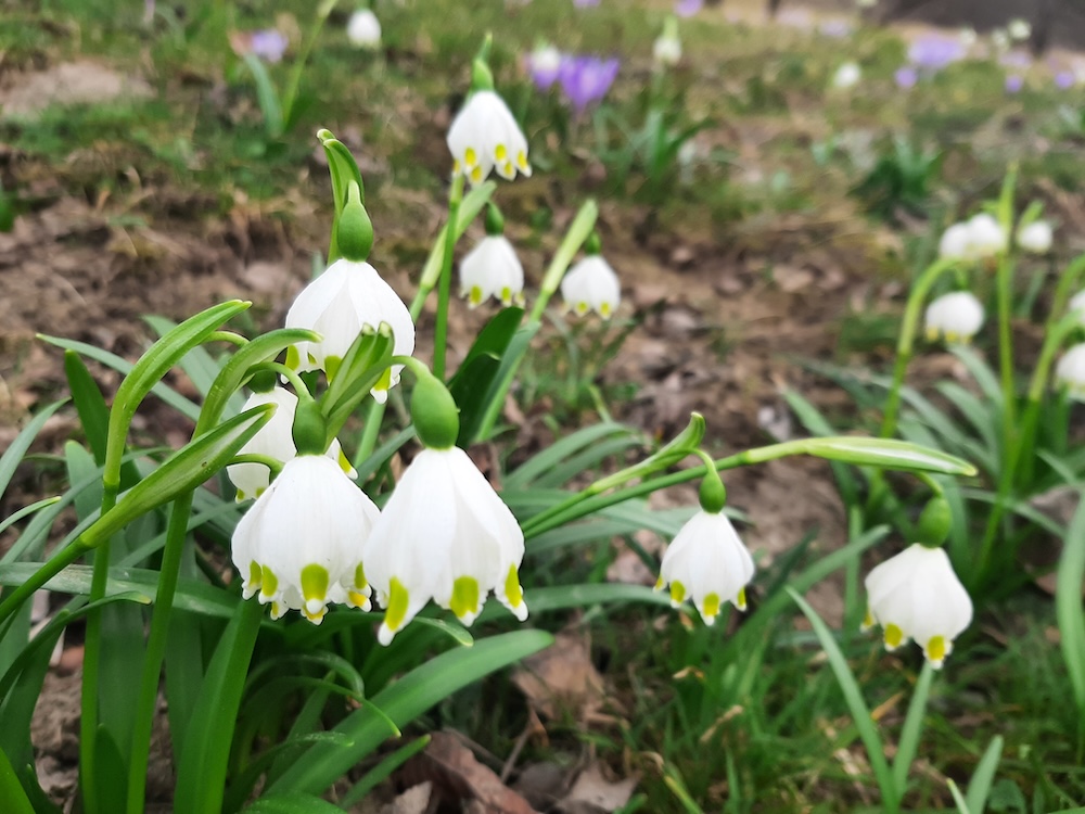 Dacă bărbatul este apucat de un duh de gelozie