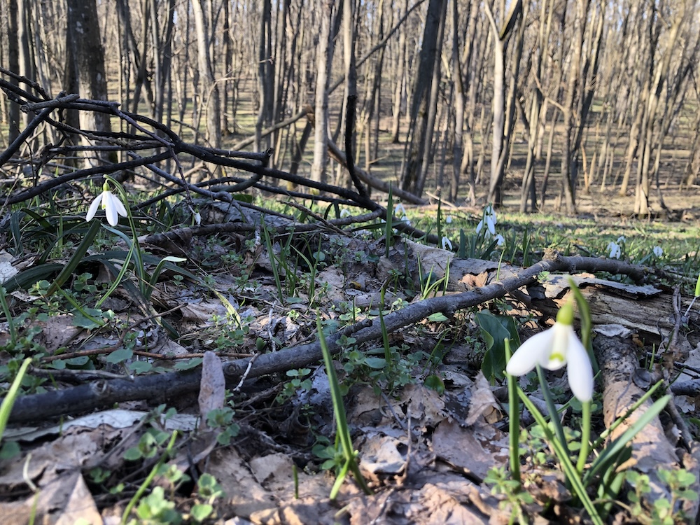 Veți semăna semințele în&nbsp;zadar