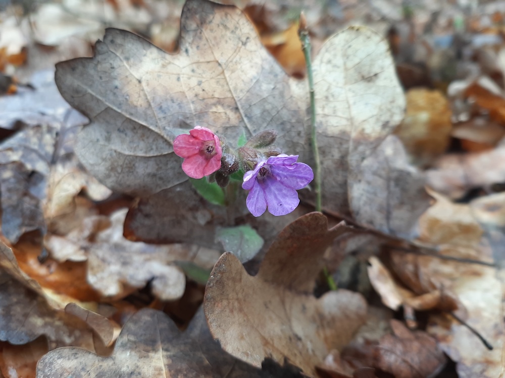 În momentul acela aveam impresia că mi-e drag