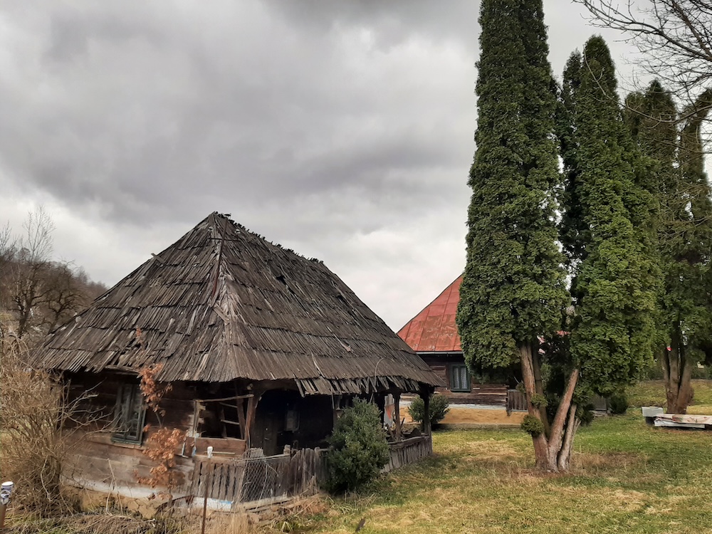 Poate fi viața pieptănată cu un singur pieptene?