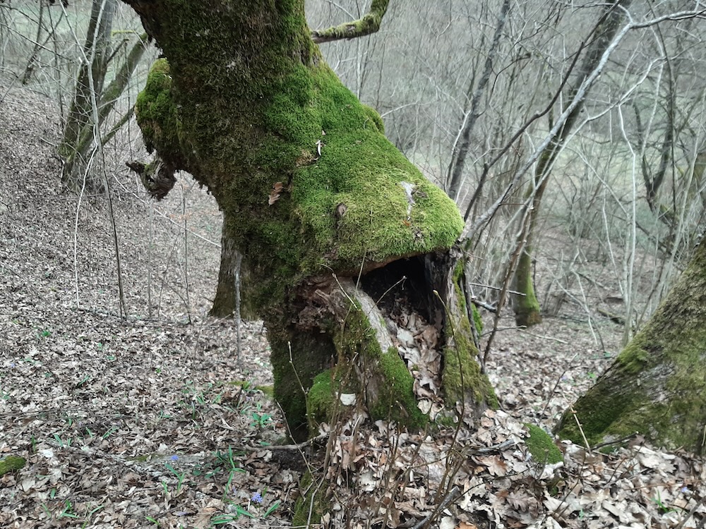 Eu am adus pe lume&nbsp;luxul