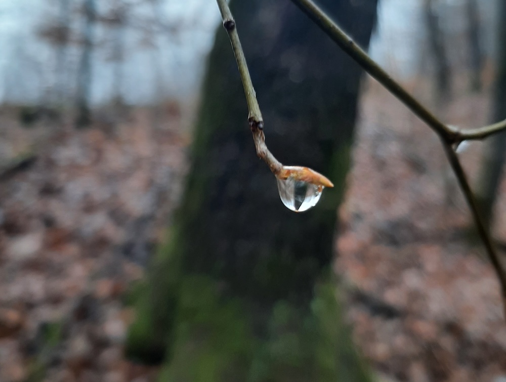 Mândria de mamă și amorul&nbsp;propriu