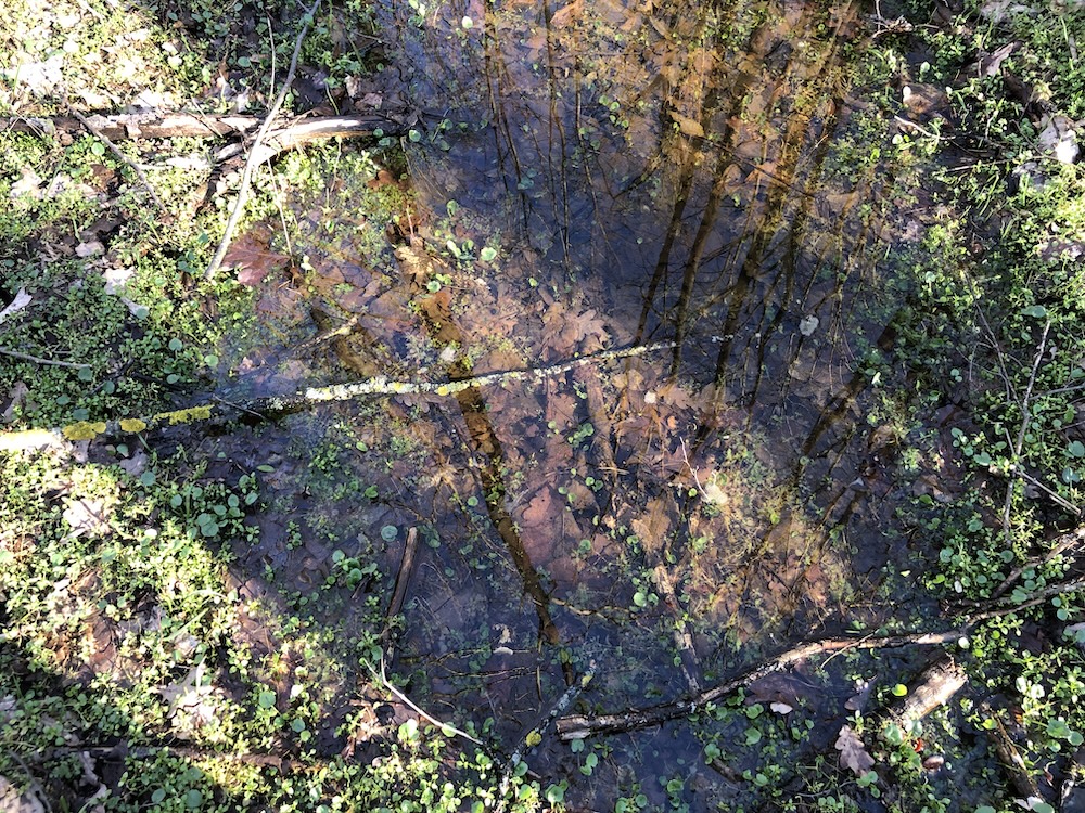 Matematica superioară