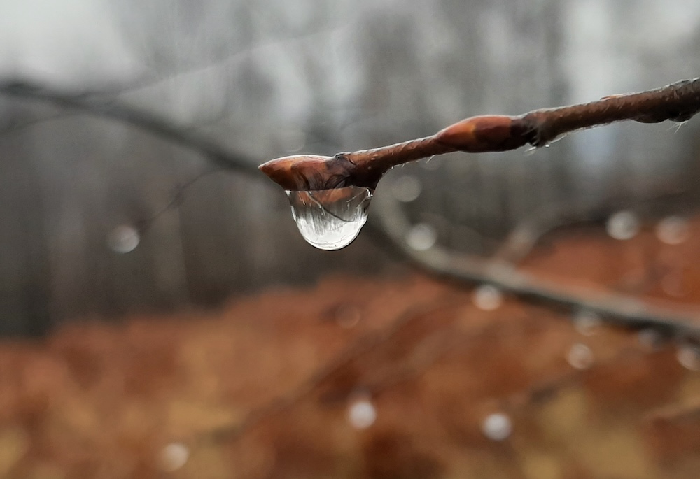 Un om a greșit, și Tu Te mânii pe toată&nbsp;obștea?